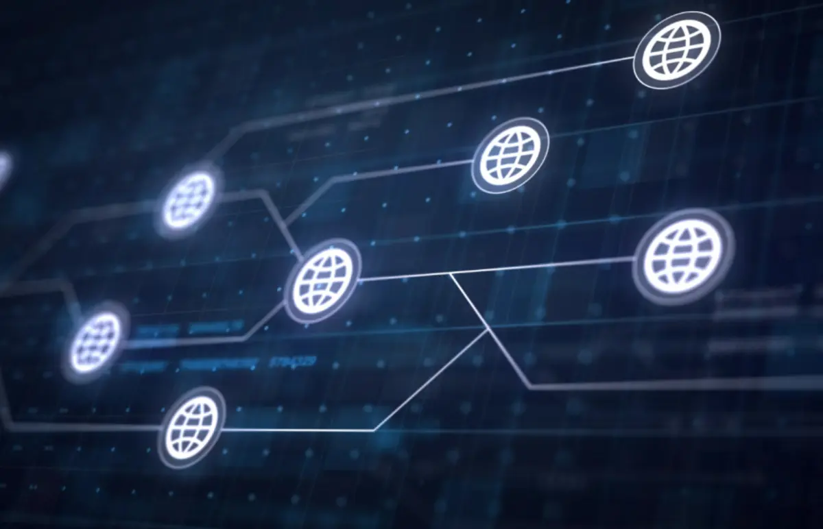 Networking service provider